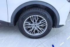 2018 Haval H6 2019 1.5T AT Blue LabelChampion #6