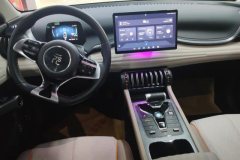 2024 BYD Yuan Plus 2024 Glory 510KM Surpass #12