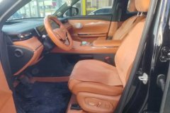 2025 GAC Trumpchi Trumpchi Xiangwang S7 2025 205km MaxEdition #9