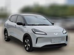 2024 Wuling Motors Wuling Bingo Plus 2024 510km Flagship 4SeatEdition #3