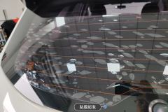 Rear Windshield