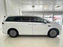 2025 BYD Xia 2025 DM-i 1.5T AT 180km excellence #2