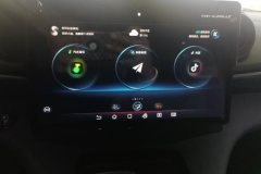 2022 BYD Dolphin 2023 420km Fashion #13