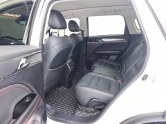 2023 GAC Trumpchi Trumpchi GS4 Plus 2023 2.0T AT 390T nebulaEdition #9