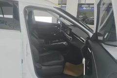 2024 GAC Trumpchi Trumpchi Yingku 2022 2.0ATK AT GeminiEdition #8