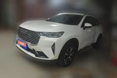 2022 Haval H6 2021 1.5T AT No.3generation2WDMax #1