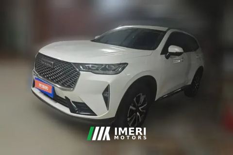 2022 Haval H6 2021 1.5T AT No.3generation2WDMax