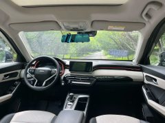 2021 Haval Chitu 2021 1.5T AT ProvokingEdition golden rabbit #7