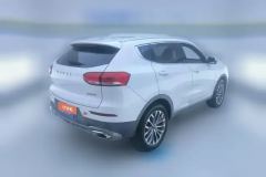 2019 Haval H6 2020 1.5T AT PlatinumChampion #3
