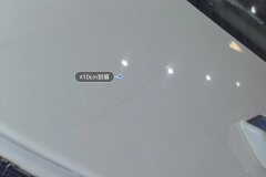 Trunk Lid