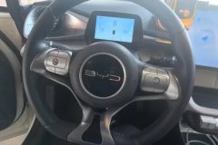 2024 BYD Dolphin 2024 Glory 420km Fashion #15
