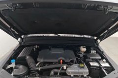 2023 Tank 300 2024 2.0T AT challenger #7