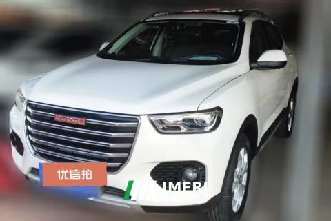 2017 Haval H2s 2017 1.5T AT Red LabelElite