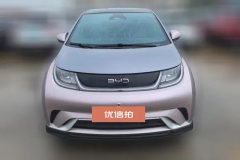 2024 BYD Dolphin 2025 520km knightEdition #2