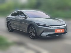 2021 BYD Han 2021 EV StandardRangeLuxury #3