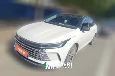 2024 BYD Destroyer 05 2024 Glory 1.5L AT DM-i 55KM Luxury