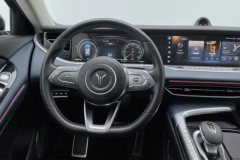 2022 Voyah Free 2021 4WDStandardEREVExclusiveLuxury Pkg #15