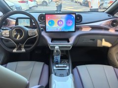 2022 BYD Dolphin 2021 405km Fashion #5