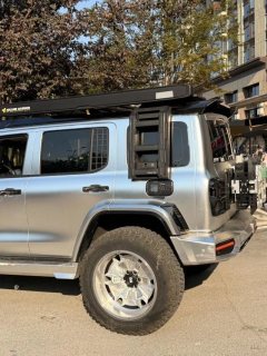 2024 Tank 300 PHEV 2024 2.0T AT Hi4-T #6