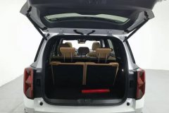 2026 GAC Trumpchi Trumpchi GS8 2024 PilotSeries 2.0TGDI AT 2WDLuxurySmart Connect #20
