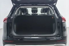 2021 Haval H6 2021 1.5T AT China tideChampion #20
