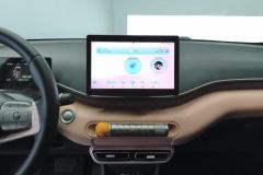 2025 BYD Seagull 2025 305km freeEdition #13