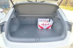 2024 Volkswagen T-Roc 2024 1.5T AT 300TSI DSG2WDChen GuangEdition #4
