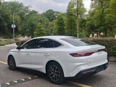 2025 BYD Seal 07 DM-i 2025 DM-i 1.5L 70km Elite #9