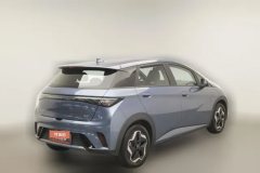 2024 BYD Dolphin 2025 420km vitalityEdition #2