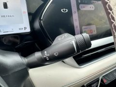 2025 Geely Auto Xingyue L 2024 2.0TD AT High power 2WDClouds riseEdition #19