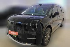 2025 Zeekr 009 2024 6SeatExecutive4WD 108kWh #1
