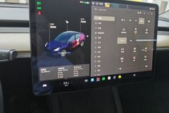 2021 Tesla Model Y 2021StandardBattery lifeRWDEdition #14