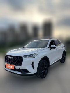 2021 Haval H6 2021 1.5T AT No.3generation2WDMax #1