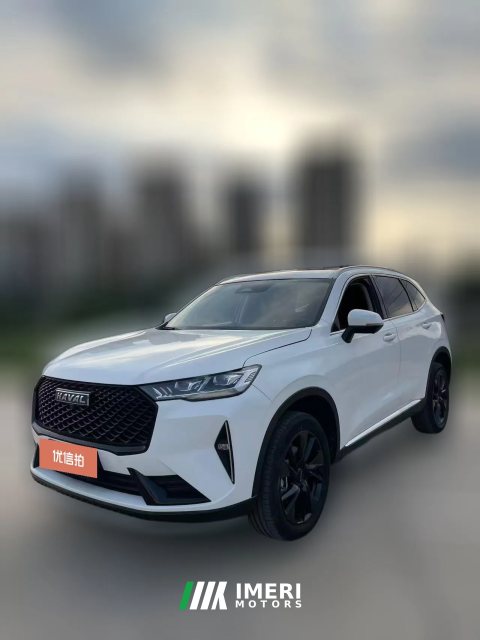 2021 Haval H6 2021 1.5T AT No.3generation2WDMax