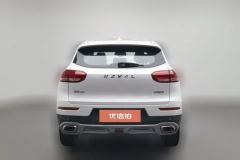 2020 Haval H6 2020 1.5T AT PlatinumChampion #4