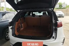 2024 BYD Tang PHEV 2024 1.5T AT DM-i Glory 112KM Premium #4