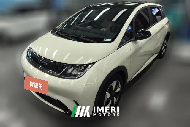 2024 BYD Dolphin 2024 Glory 420km Fashion