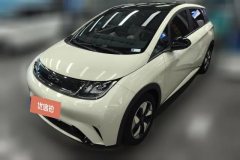 2024 BYD Dolphin 2024 Glory 420km Fashion #1
