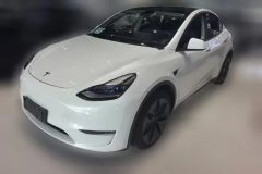 2021 Tesla Model Y 2021StandardBattery lifeRWDEdition #1