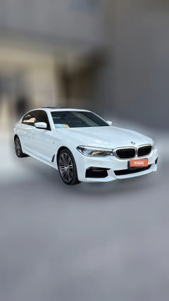 2019 BMW 5 Series 2019 2.0T AT 530LiExclusiveMSport Pkg #4