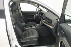 2020 Haval H6 2020 1.5T AT PlatinumChampion #22