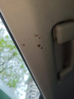 Headliner