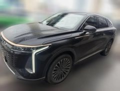 2023 Exeed Yaoguang 2023 400T 2WDEnjoy FeiyuEdition #1