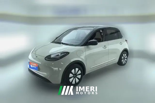2025 Wuling Motors Wuling Bingo 2024 333km Joy