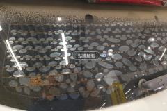 Rear Windshield