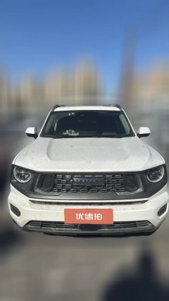 2023 Haval Big Dog Plus 2023 2.0T AT 2WDShionoEditionPlus #2
