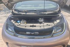 2022 BYD Dolphin 2021 405km Fashion #10