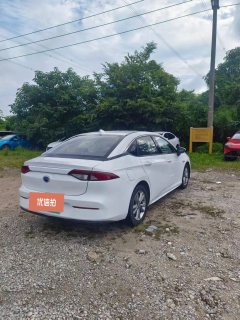 2021 Aion S 2019 dazzle530 EV #8