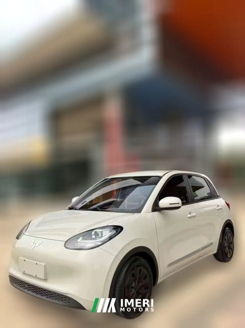 2023 Wuling Motors Wuling Bingo 2023 203KM Enjoy lightly