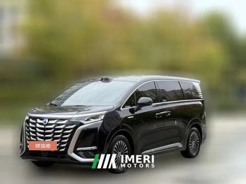 2025 Denza D9 2025 DM-i 4WDZunhang